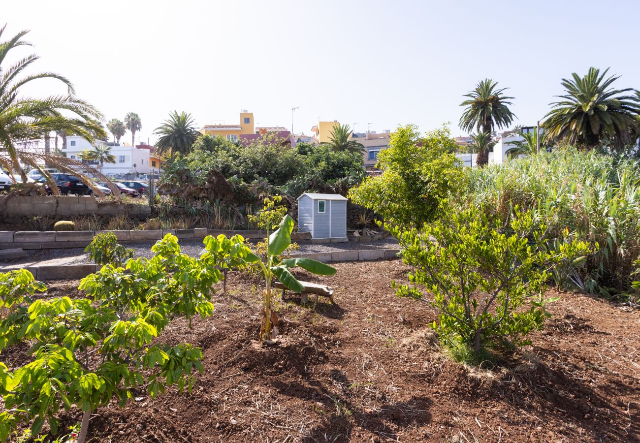 Casa en El Sauzal - OkStay - Casa Canaria El Sauzal