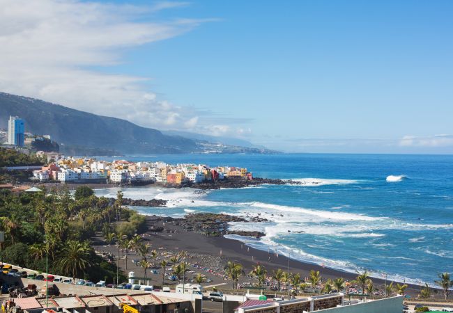 Studio in Puerto de la Cruz - OkStay - Studio Flores, with pool and 300m from the beach Studio in Puerto de la Cruz - OkStay - Studio Flores, with pool and 300m from the beach