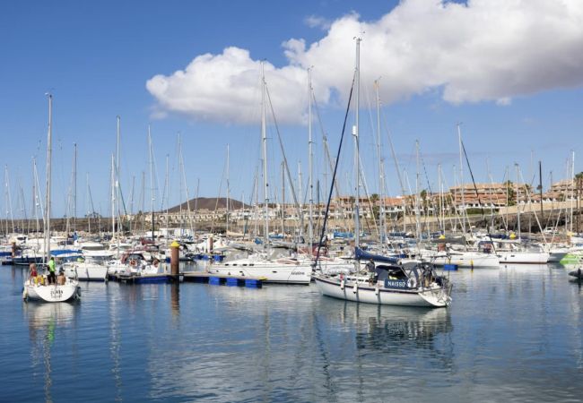 Appartement à San Miguel de Abona - OkStay Albatros Tenerife Appartement à San Miguel de Abona - OkStay Albatros Tenerife