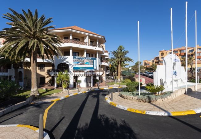 Appartement à San Miguel de Abona - OkStay Albatros Tenerife Appartement à San Miguel de Abona - OkStay Albatros Tenerife