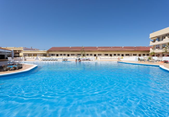 Appartement à Adeje - OkStay Marina Palace Tenerife  Appartement à Adeje - OkStay Marina Palace Tenerife