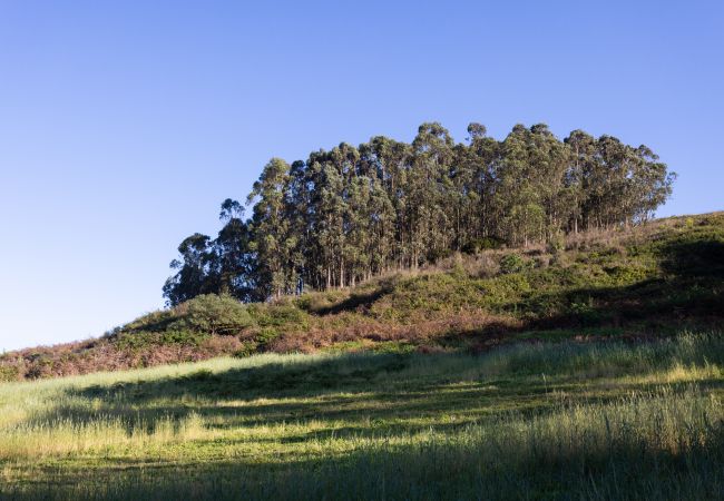 Maison à San Cristobal de La Laguna - OKStay Maison de campagne Ortigal 1, Tenerife Maison à San Cristobal de La Laguna - OKStay Maison de campagne Ortigal 1, Tenerife