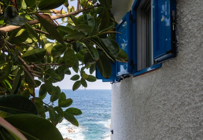 Maison à La Matanza de Acentejo - OkStay - Casa Lali con piscina natural. Maison à La Matanza de Acentejo - OkStay - Casa Lali con piscina natural.