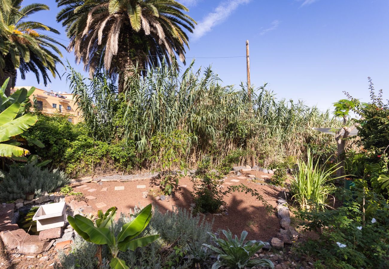 Maison à El Sauzal - OkStay - Casa Canaria El Sauzal