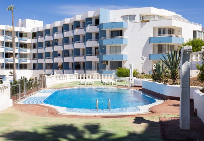 Studio a San Miguel de Abona - OkStay Green Park piscina y sol Studio a San Miguel de Abona - OkStay Green Park piscina y sol