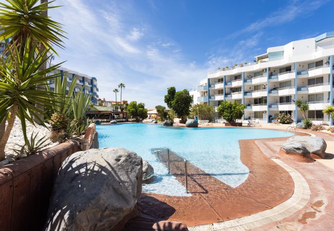 Studio a San Miguel de Abona - OkStay Green Park piscina y sol Studio a San Miguel de Abona - OkStay Green Park piscina y sol