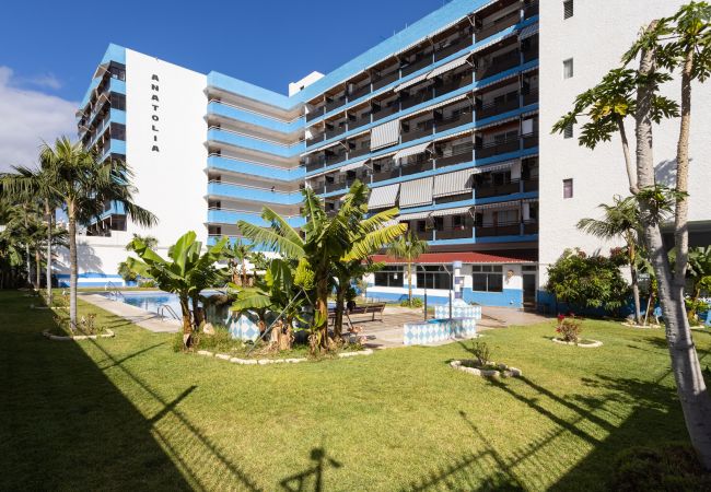 Studio a Puerto de la Cruz - OkStay - Estudio Flores, con piscina y a 300m de la playa Studio a Puerto de la Cruz - OkStay - Estudio Flores, con piscina y a 300m de la playa