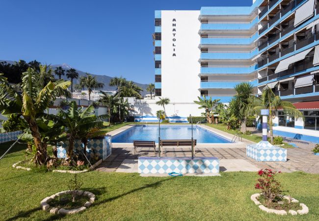 Studio a Puerto de la Cruz - OkStay - Estudio Flores, con piscina y a 300m de la playa Studio a Puerto de la Cruz - OkStay - Estudio Flores, con piscina y a 300m de la playa