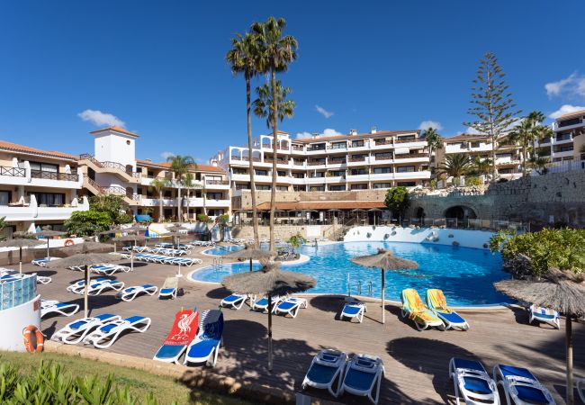 Apartamento em San Miguel de Abona - OkStay Albatros Tenerife Apartamento em San Miguel de Abona - OkStay Albatros Tenerife