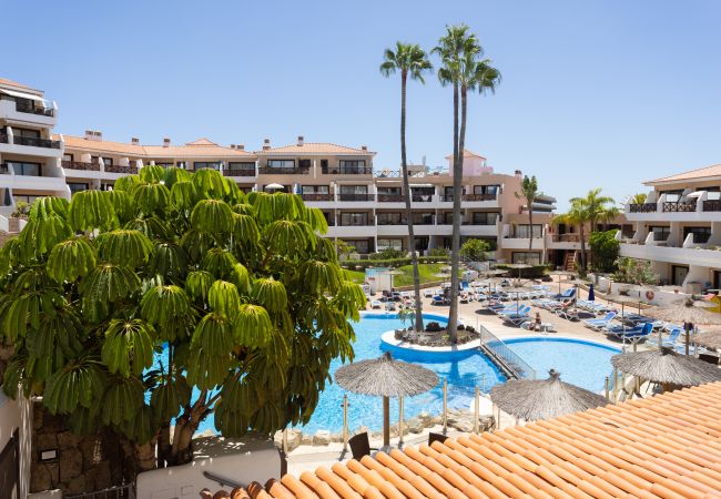 Apartamento em San Miguel de Abona - OkStay Albatros Tenerife Apartamento em San Miguel de Abona - OkStay Albatros Tenerife