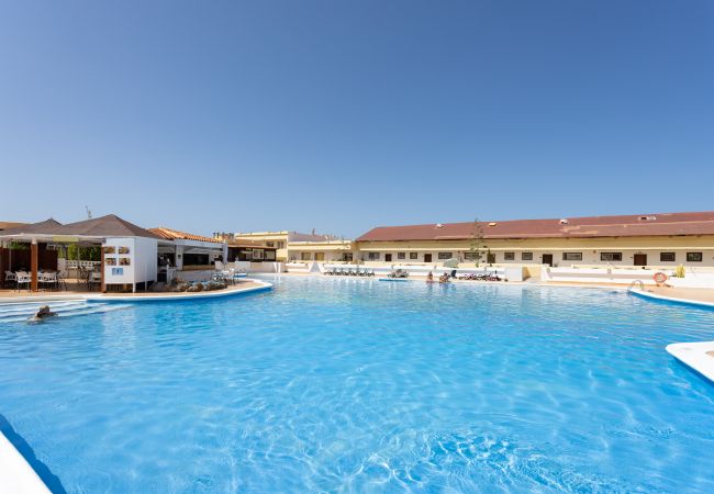 Apartamento em Adeje - OkStay Marina Palace Tenerife  Apartamento em Adeje - OkStay Marina Palace Tenerife