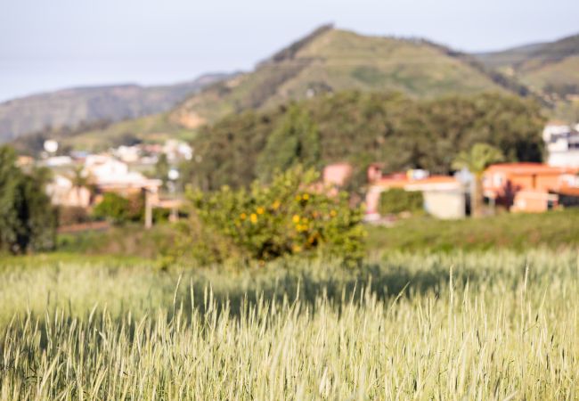 Casa em San Cristobal de La Laguna - OKStay Casa de campo Ortigal 1, Tenerife Casa em San Cristobal de La Laguna - OKStay Casa de campo Ortigal 1, Tenerife
