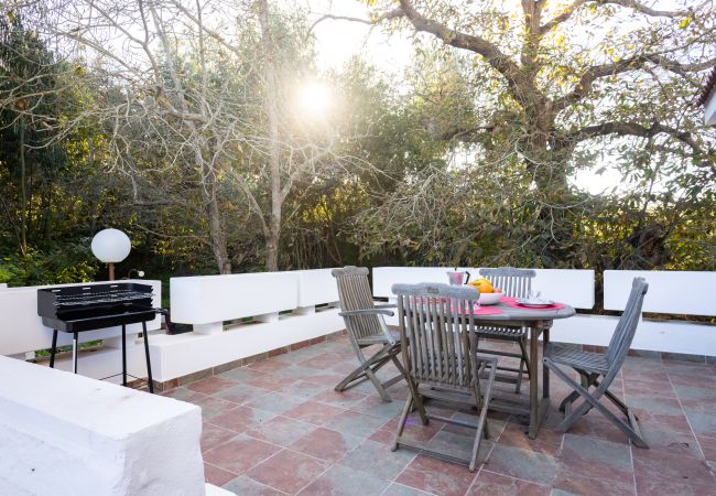 Casa em San Cristobal de La Laguna - OKStay Casa de campo Ortigal 1, Tenerife Casa em San Cristobal de La Laguna - OKStay Casa de campo Ortigal 1, Tenerife