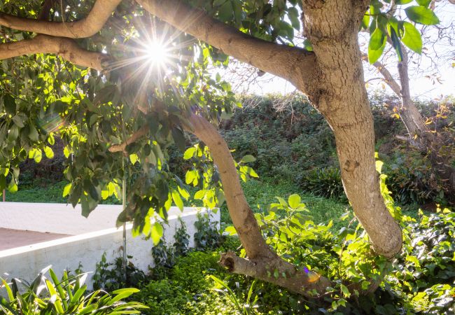 Casa em San Cristobal de La Laguna - OKStay Casa de campo Ortigal 1, Tenerife Casa em San Cristobal de La Laguna - OKStay Casa de campo Ortigal 1, Tenerife