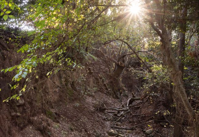Casa em San Cristobal de La Laguna - OKStay Casa de campo Ortigal 1, Tenerife Casa em San Cristobal de La Laguna - OKStay Casa de campo Ortigal 1, Tenerife