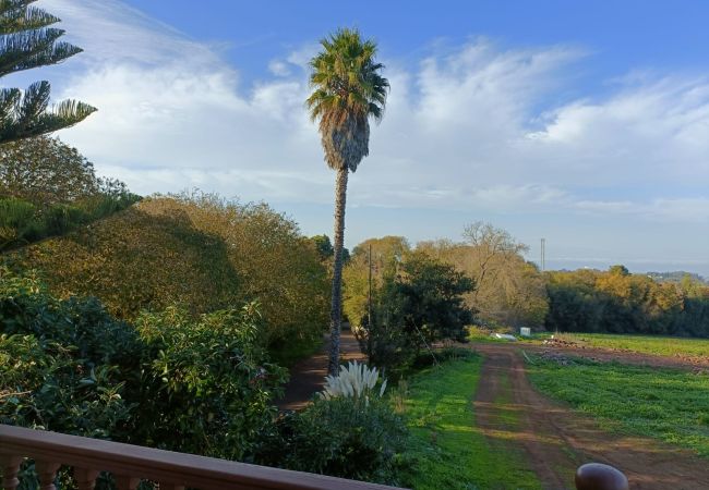 Casa em San Cristobal de La Laguna - OkStay Country House  Casa em San Cristobal de La Laguna - OkStay Country House