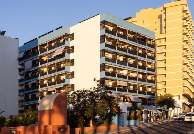 Estúdio em Puerto de la Cruz - OkStay - Estudio Flores, con piscina y a 300m de la playa Estúdio em Puerto de la Cruz - OkStay - Estudio Flores, con piscina y a 300m de la playa